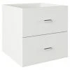 BAUHAUS Phönix Fortuna Container L X B X H: 33,4 X 34,1 X 34,1 Cm, Weiß, Anzahl Schubladen: 2 Stk., Passend Für: Phönix Regale Fortuna