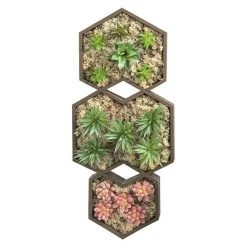 BAUHAUS Rahmen-Set Design-Rahmen 3 Stk., Holz, Sechseckig